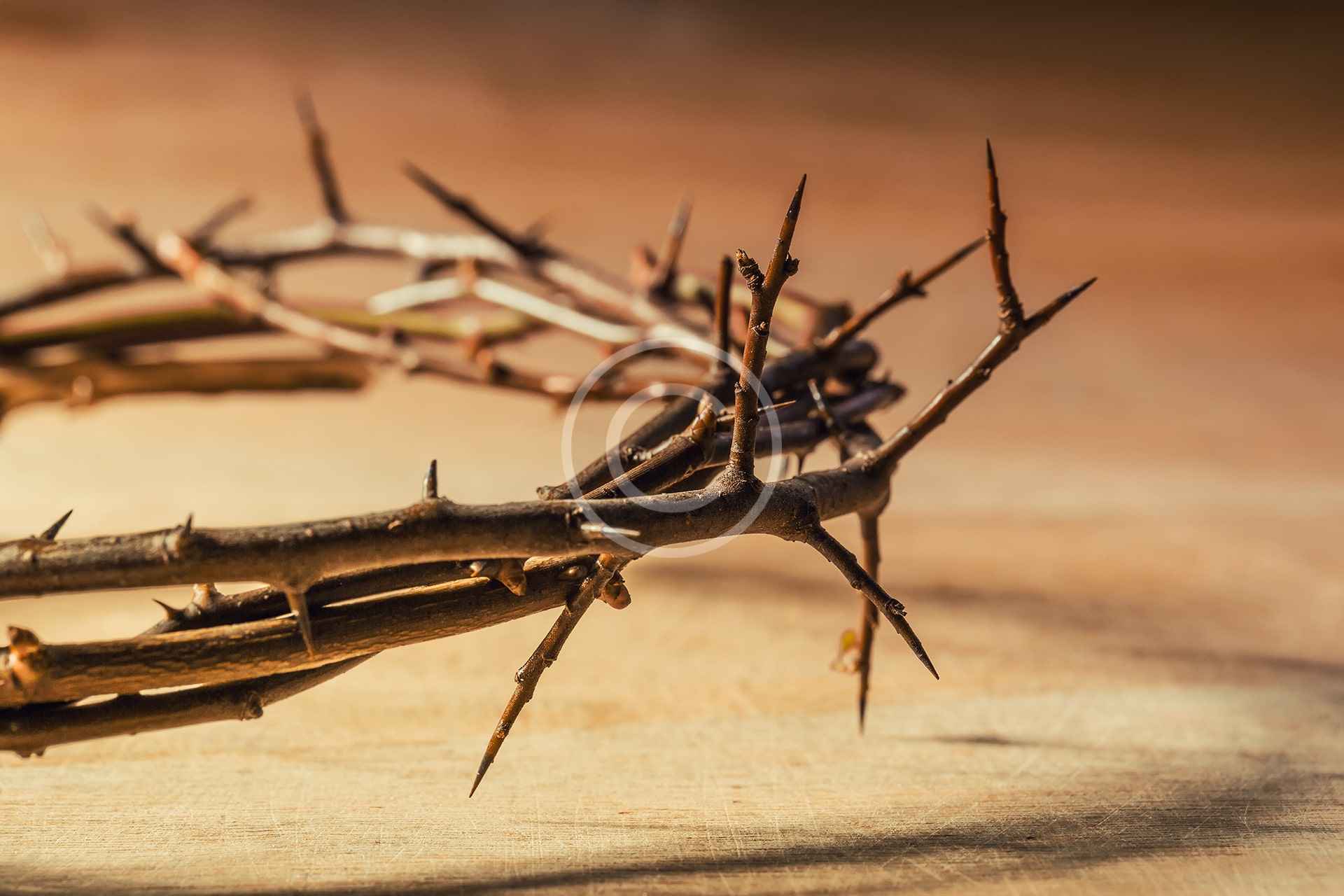 IDC Instructores de Casa